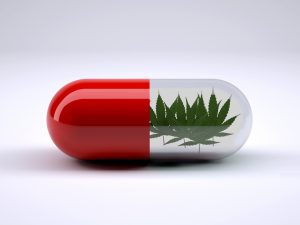 Traiter la Maladie de Crohn avec le cannabis : et si c'était la solution ?