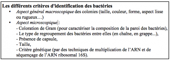 Les critères d'identification des bactéries