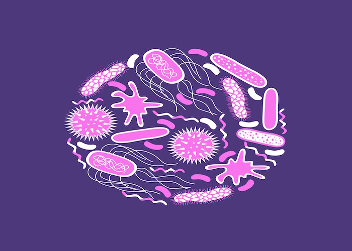 Microbiote intestinal et cancer colorectal